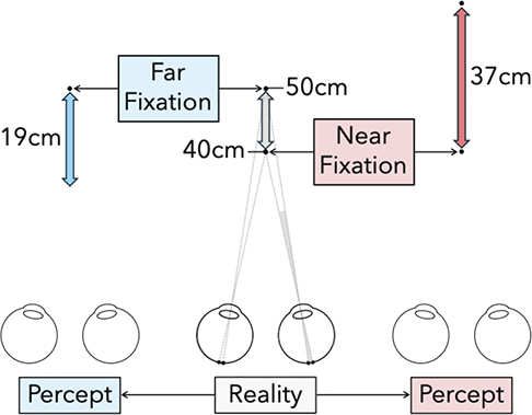 Fig 0006