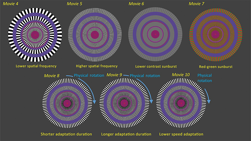 Fig 4