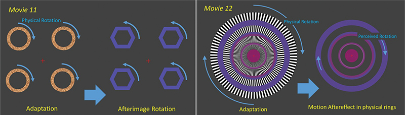 Fig 5
