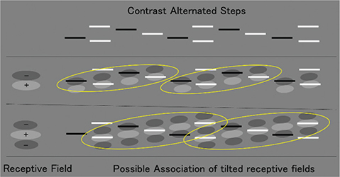 Fig 13